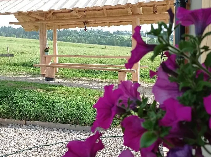 Prázdninový dům U Andrzeja Ciche (Nowy Targ)